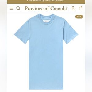 Sky blue 100 % organic cotton T- shirt dress * NWTG